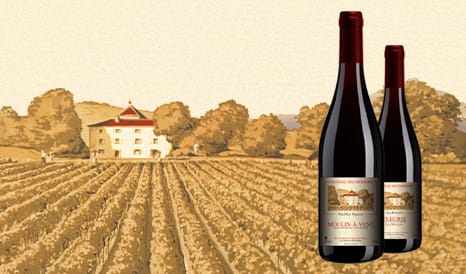 Château des Moriers • Moulin-à-Vent et Fleurie