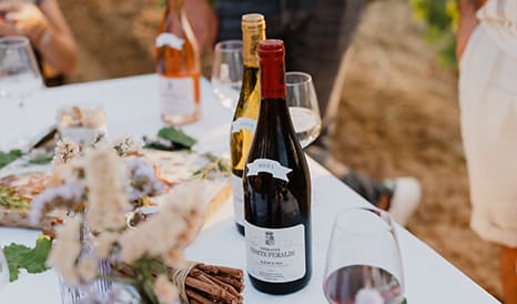 Domaine Comte Peraldi • Corse Ajaccio
