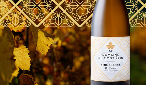 Viré-Clessé Breillonde BIO