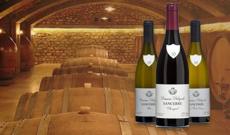 Delaporte • Sancerre Bio