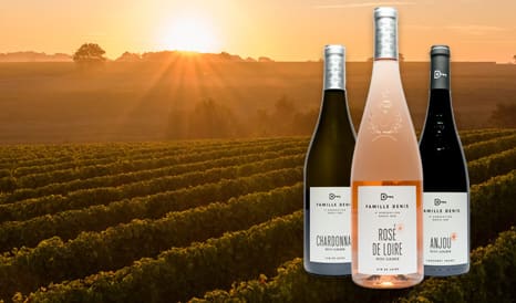 Domaine du Petit Clocher - Famille Denis