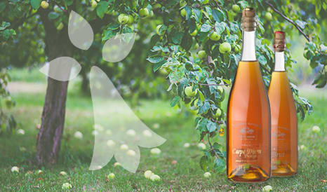 L'Excellence du Cidre Breton BIO