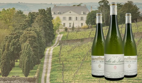 Coulée de Serrant