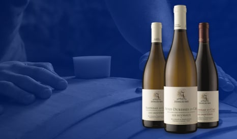 Nouveauté Bourgogne 1ers Crus