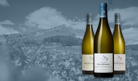 Trio de blancs du Mâconnais