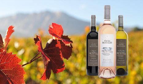 Palette, micro appellation de Provence