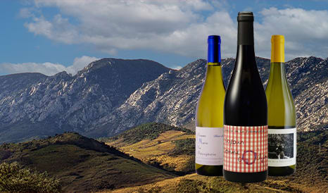 Préceptorie • Maury et Côtes du Roussillon