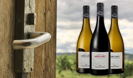 Domaine Voarick • Mercurey