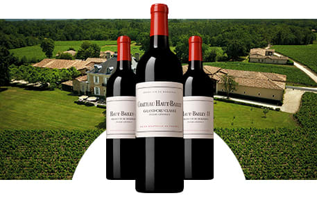 Château Haut-Bailly