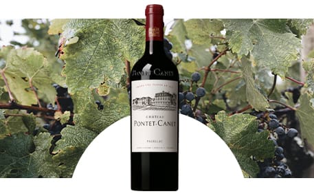 Château Pontet-Canet