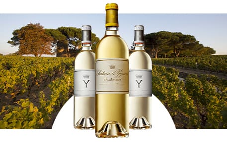 Château d'Yquem