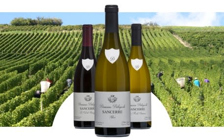 Domaine Delaporte