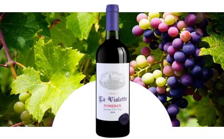 Château La Violette