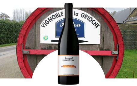 Vignoble Grioche