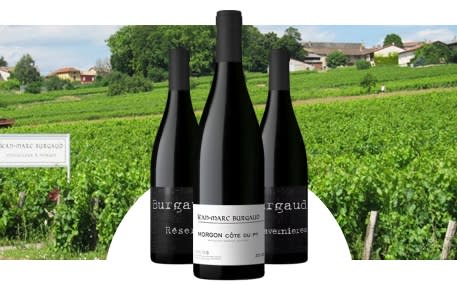 Domaine Jean-Marc Burgaud