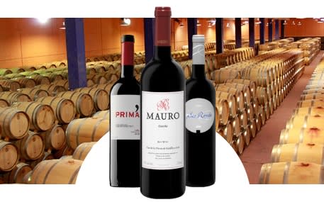 Bodegas Mauro - San Roman