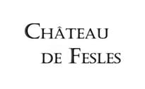 Château de Fesles