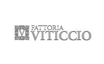 Domaine Fattoria Viticcio