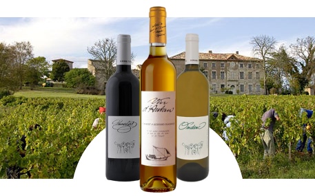 Domaine Plageoles - Terroirists orange Lot 2022 - Vin de France Blanc sec - Sud-Ouest