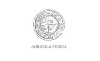 Agricola Punica