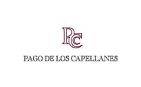 Bodega Pago de los Capellanes