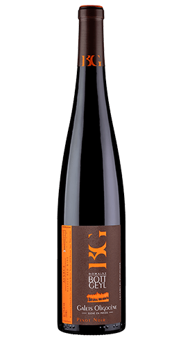 Domaine Bott-Geyl - Alsace Pinot Noir Cuvée Galets Oligocène 2020
