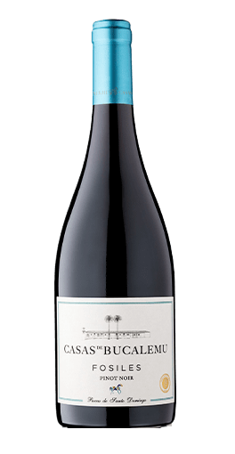 Casas De Bucalemu - Fosiles 2020