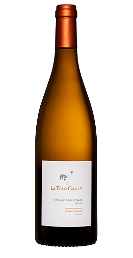 La Tour Gallus - Muscadet Sèvre-Maine Sur Lie 2023