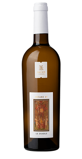 Xavier Vignon - Arcane Le Diable blanc 2024