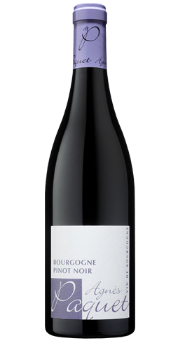 Agnès Paquet - Bourgogne Pinot Noir 2014