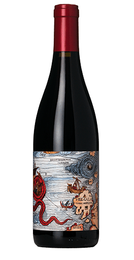 Birichino - Californië Scylla 2022