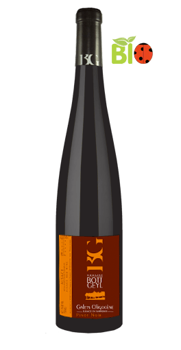 Domaine Bott Geyl - Pinot Noir Cuvée Galets Oligocène 2012