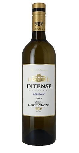 Château Lamothe-Vincent - Intense blanc 2019