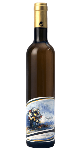 Domaine Pierre Gaillard - Grapillage 2011 (50cl)
