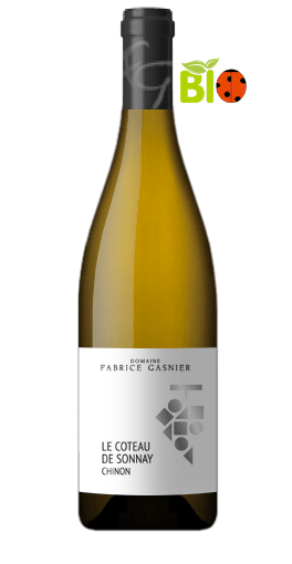 Domaine Fabrice Gasnier - Le Coteau de Sonnay 2013
