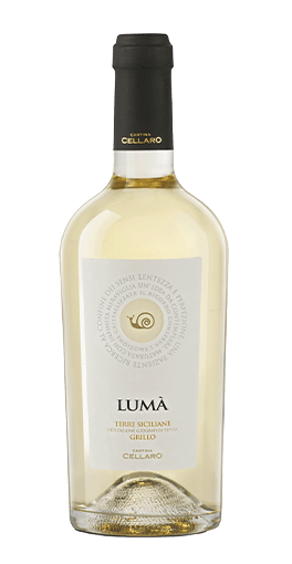 Cantina Cellaro – Sizilien Lumà Grillo 2024