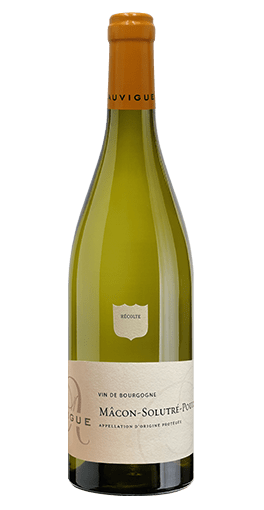 Maison Auvigue - Mâcon-Solutré-Pouilly 2023