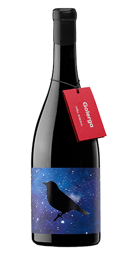 Viña Zorzal - Navarre Golerga 2023