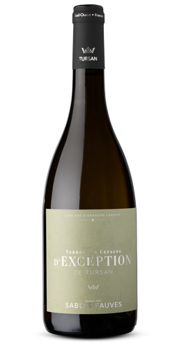 Vignerons de Tursan - Tursan Exception Sables Fauves blanc 2024