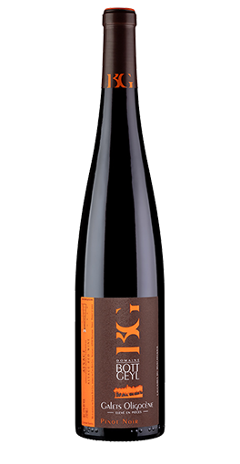Bott-Geyl Galets Oligocène Pinot Noir 2020