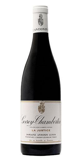 Antonin Guyon La Justice 2023