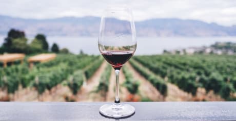 Vin rouge