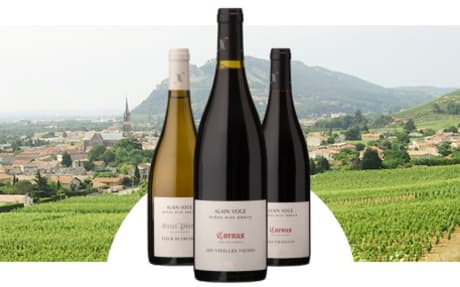 Domaine Alain Voge