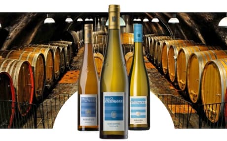 Weingut Wittmann