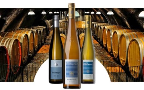 Weingut Wittmann