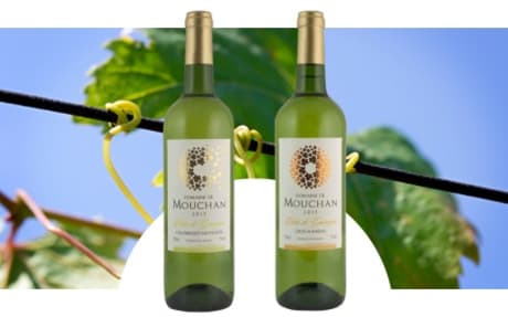 Domaine de Mouchan
