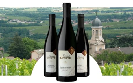 Domaine Christophe Savoye