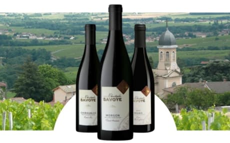 Domaine Christophe Savoye
