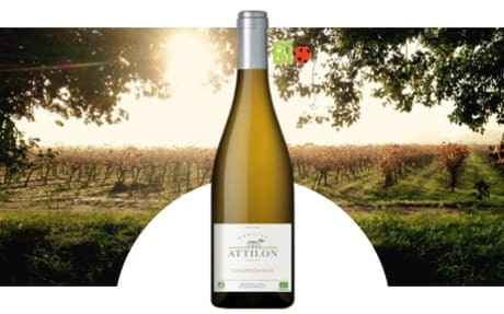 Domaine Attilon