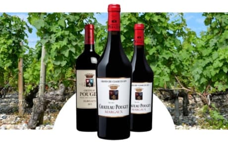 Château Pouget